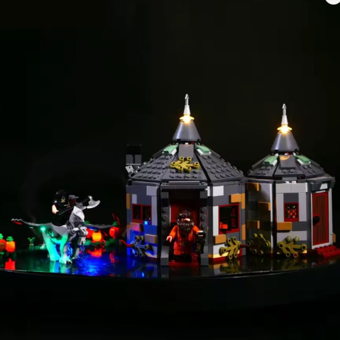 HP Cabana de Hagrid ( 496 peças )